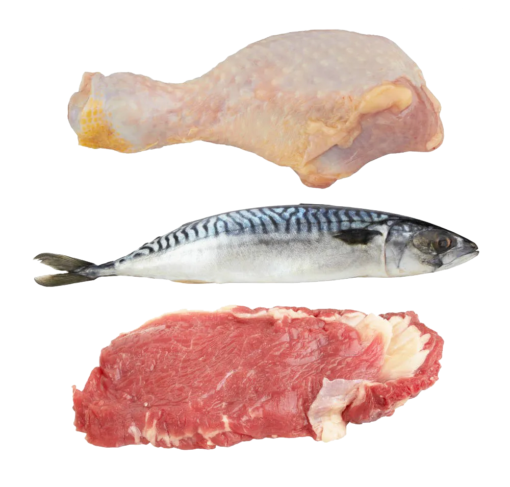 Fresh Meat